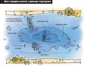 Où attraper le sandre sur un gabarit en automne