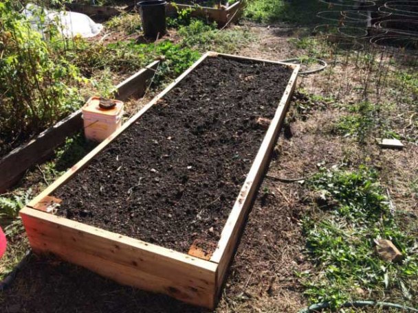 Preparando el jardín para plantar ajo en el otoño.