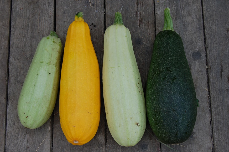 Comment conserver les courgettes dans un appartement