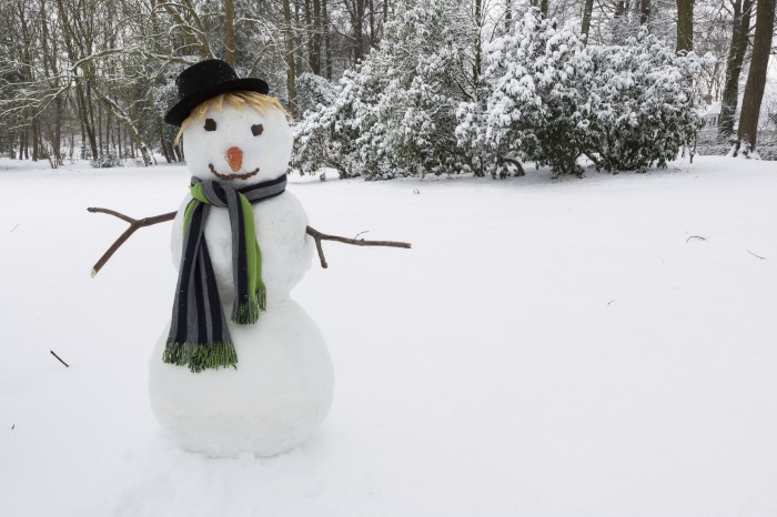 Comment habiller un bonhomme de neige