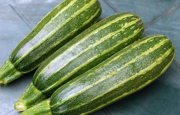 Comment récolter et conserver correctement les courgettes