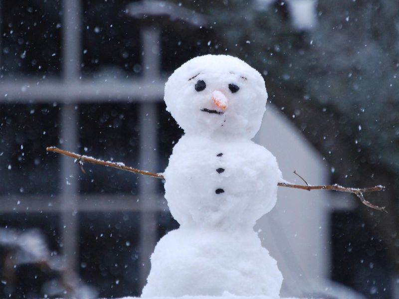 Comment faire un bonhomme de neige de la neige de vos propres mains