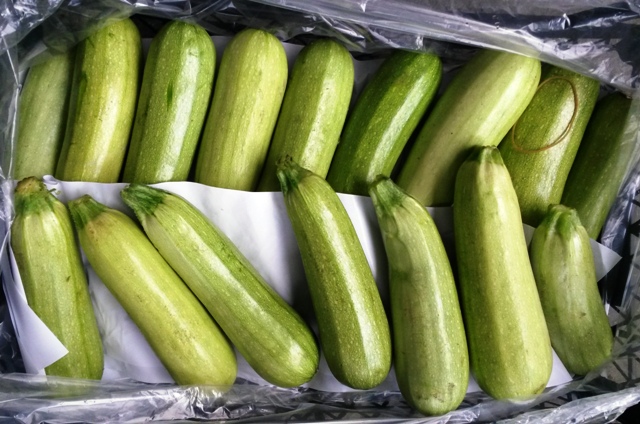 Comment garder les courgettes à la maison en hiver