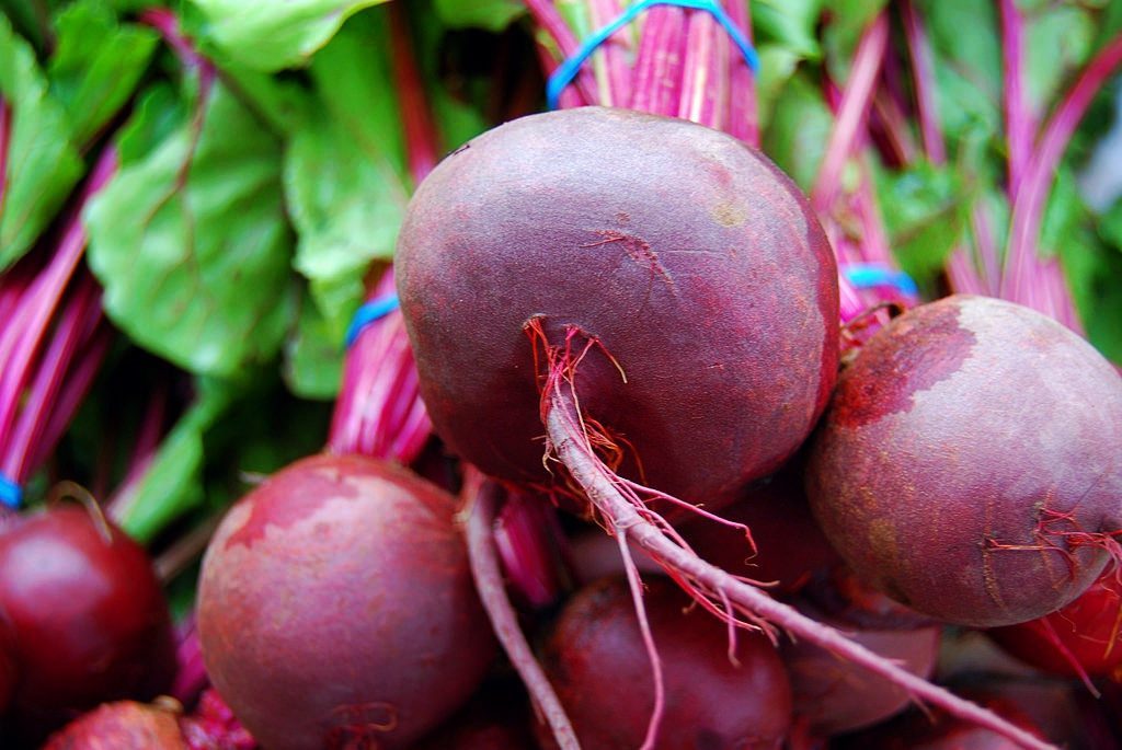 Variétés de betteraves pour un long stockage hivernal à la maison