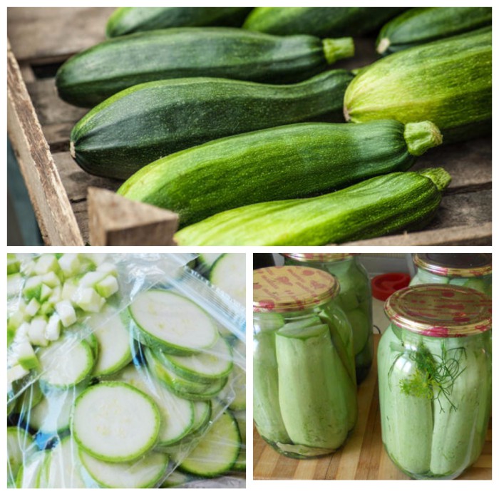 Méthodes de stockage des courgettes d'hiver