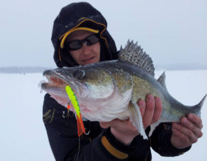 Tout savoir sur la pêche au doré sur un balancier en hiver