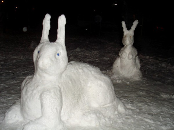 Lièvre des neiges bricolage