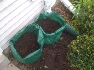 Terre pour planter des pommes de terre en sacs