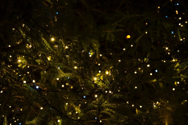 Comment décorer correctement un sapin de Noël par étapes