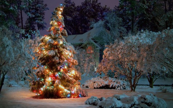 Comment décorer un arbre de rue pour la nouvelle année