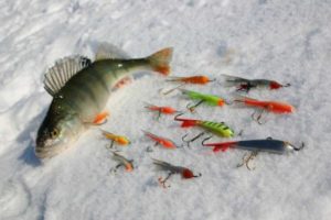 Comment choisir un équilibreur pour la pêche blanche à la perche