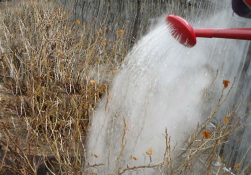 Traitement de l'eau bouillante