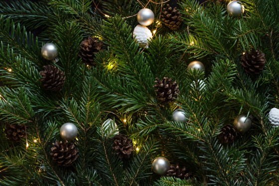 Pourquoi est-ce le sapin de Noël qui est décoré pour la nouvelle année