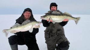 Une pêche hivernale réussie du sandre avec un gabarit