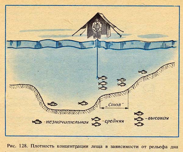 Comment chercher et attraper la brème en hiver