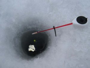 Tige de flotteur d'hiver pour brème