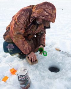 Brème d'appât d'hiver